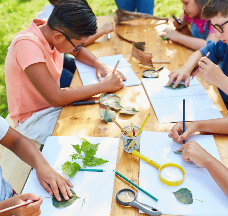 children at summer camp